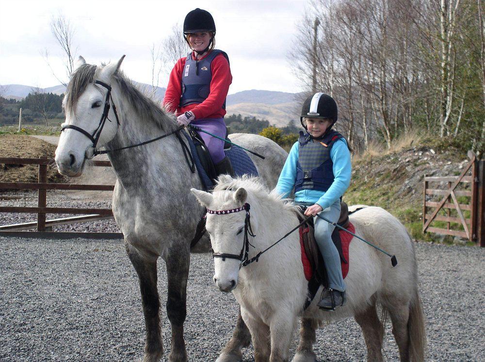 Eclipse Holiday Homes & Adventure Centre Kenmare Exterior foto